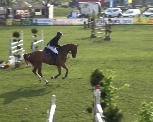 Reitturnier Greppin 2016