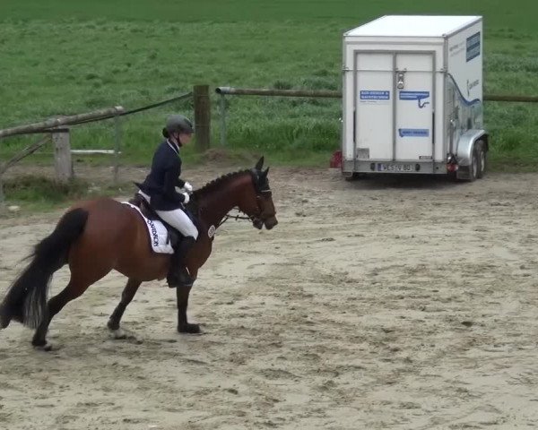 Reitturnier Xanten - Moermter 2016