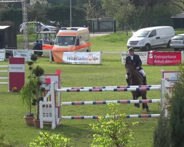 Reitturnier Greppin 2016