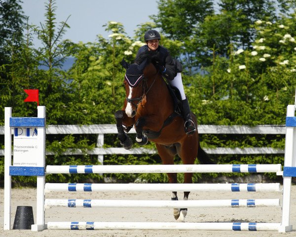 jumper Landino 125 (unknown, 2006, from Levantino H)