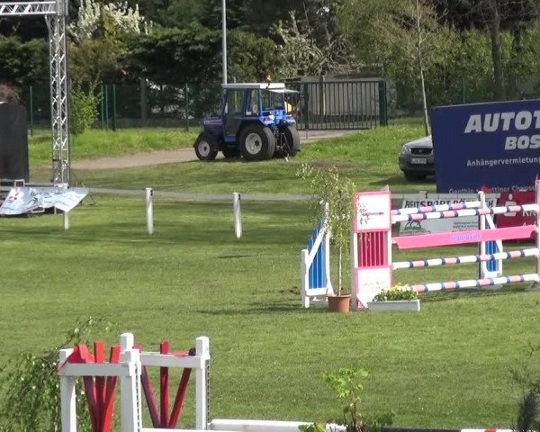 Reitturnier Greppin 2016
