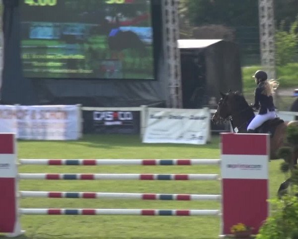 Reitturnier Greppin 2016