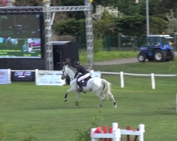 Reitturnier Greppin 2016