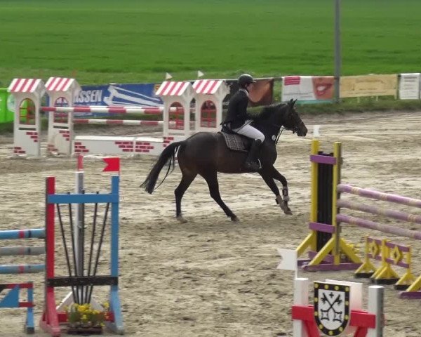 Reitturnier Xanten - Moermter 2016