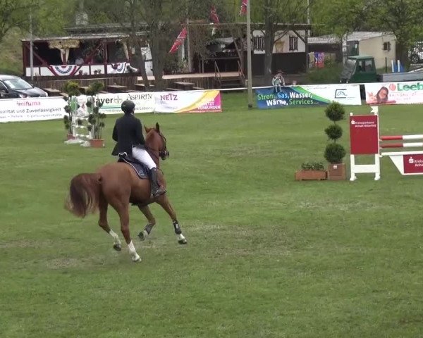 Reitturnier Greppin 2016