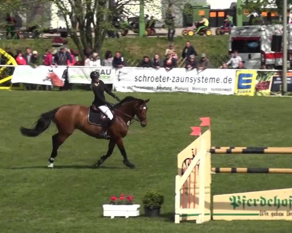 Reitturnier Greppin 2016