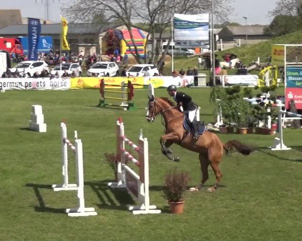 Reitturnier Greppin 2016