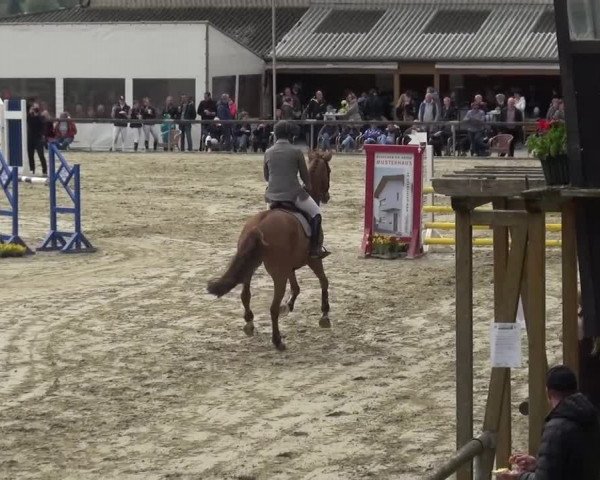 Reitturnier Xanten - Moermter 2016
