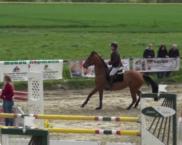 Reitturnier Xanten - Moermter 2016