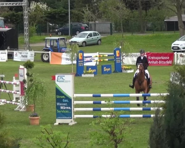 Reitturnier Greppin 2016