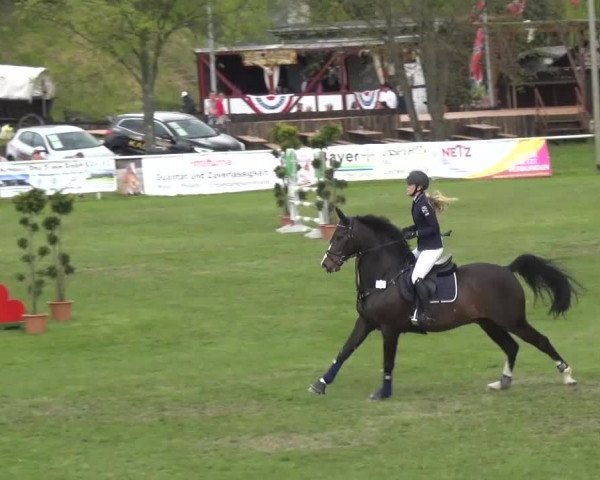Reitturnier Greppin 2016