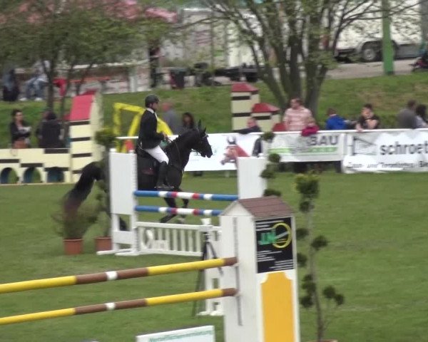 Reitturnier Greppin 2016