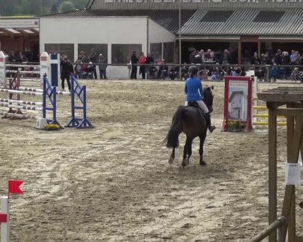 Reitturnier Xanten - Moermter 2016