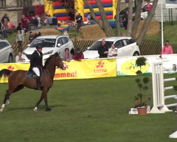 Reitturnier Greppin 2016