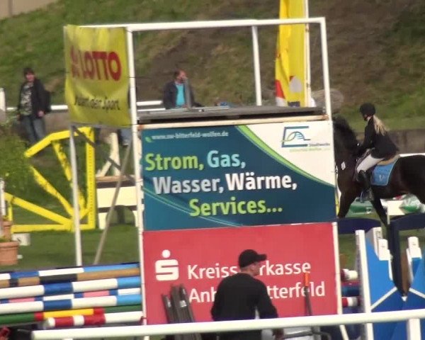 Reitturnier Greppin 2016