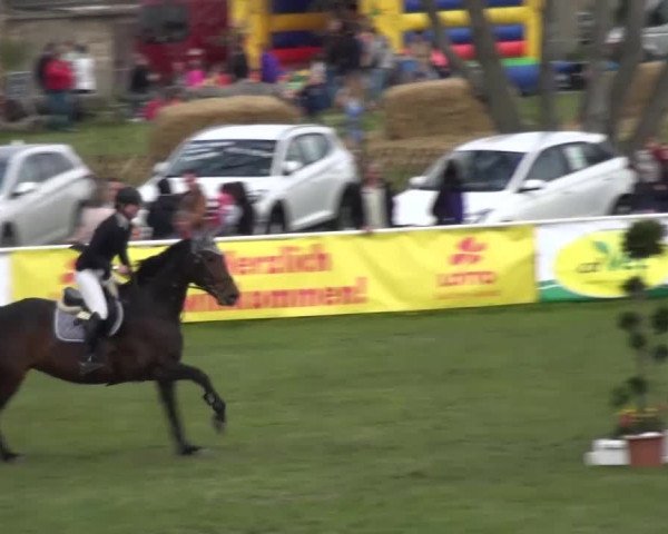 Reitturnier Greppin 2016