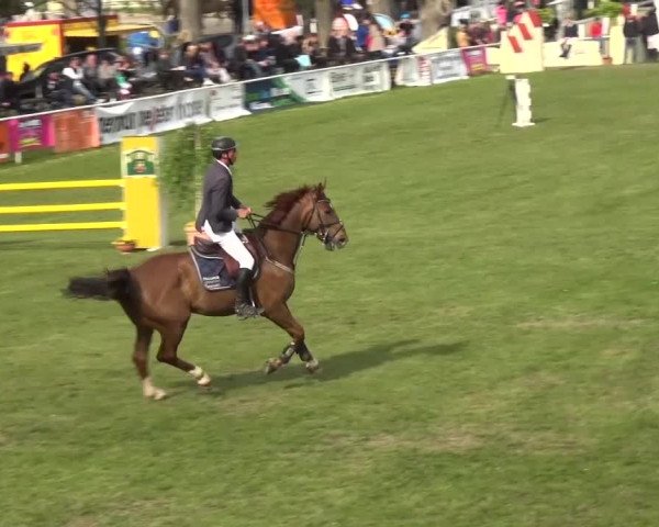 Reitturnier Greppin 2016