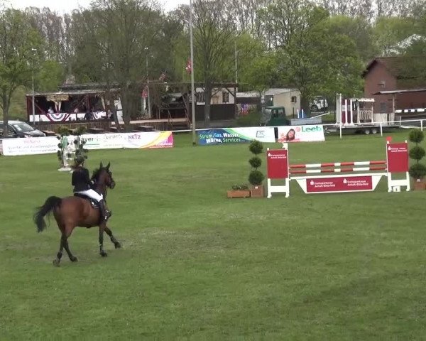Reitturnier Greppin 2016