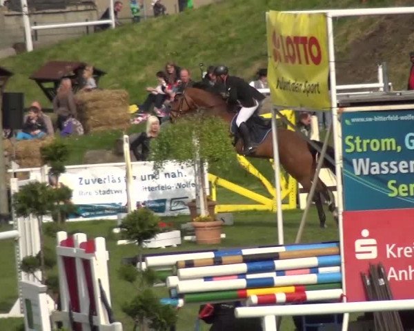 Reitturnier Greppin 2016