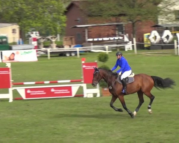 Reitturnier Greppin 2016