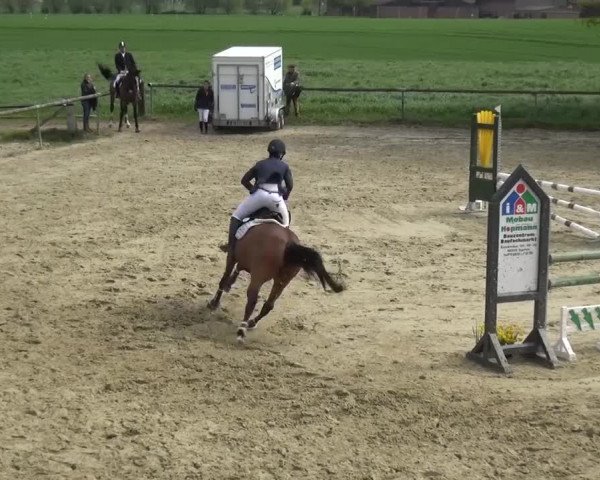 Reitturnier Xanten - Moermter 2016