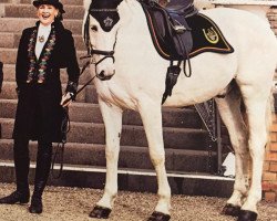dressage horse Leonidas 99 (Saxony-Anhaltiner, 2002, from Levisto Z)