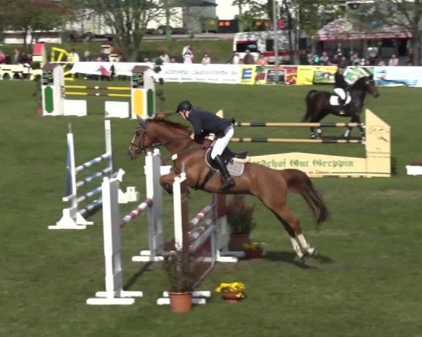 Reitturnier Greppin 2016