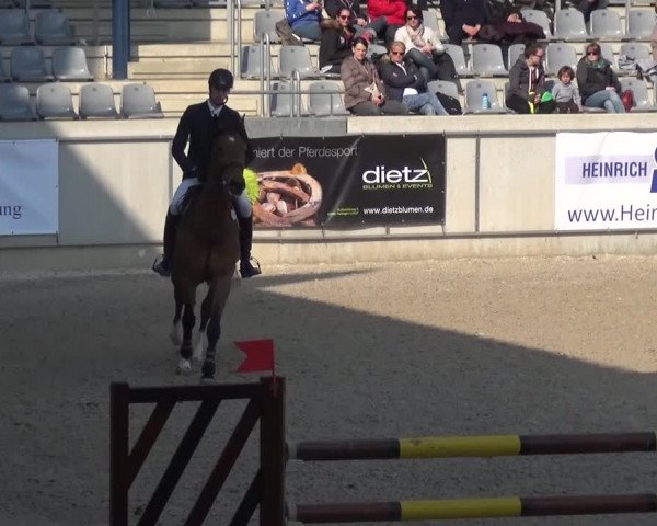 FEI Reitturnier Aachen (GER) 2016