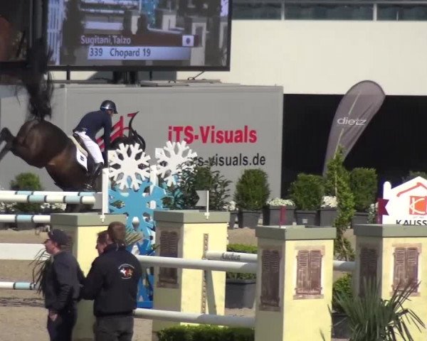 FEI Reitturnier Aachen (GER) 2016