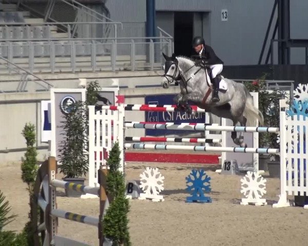 FEI Reitturnier Aachen (GER) 2016