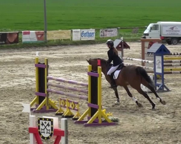 Reitturnier Xanten - Moermter 2016