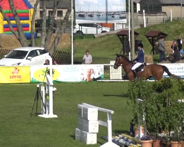 Reitturnier Greppin 2016