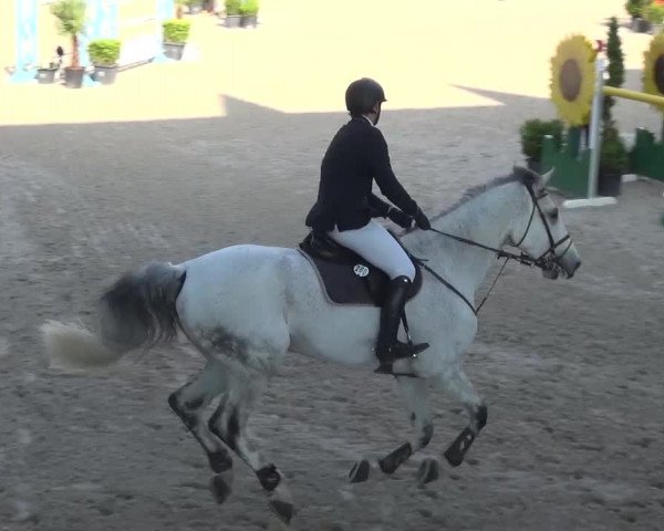FEI Reitturnier Aachen (GER) 2016