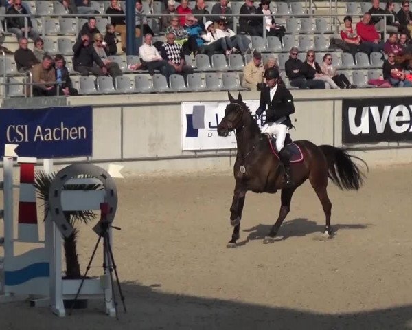 FEI Reitturnier Aachen (GER) 2016