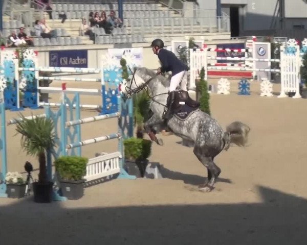 FEI Reitturnier Aachen (GER) 2016
