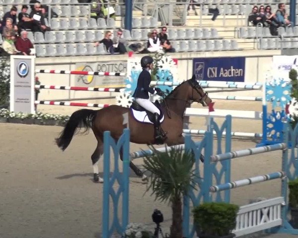 FEI Reitturnier Aachen (GER) 2016