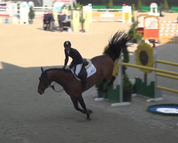 FEI Reitturnier Aachen (GER) 2016