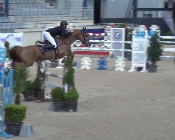 FEI Reitturnier Aachen (GER) 2016