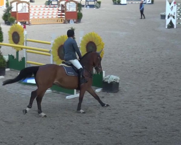 FEI Reitturnier Aachen (GER) 2016