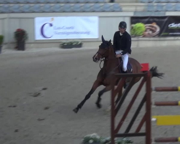 FEI Reitturnier Aachen (GER) 2016