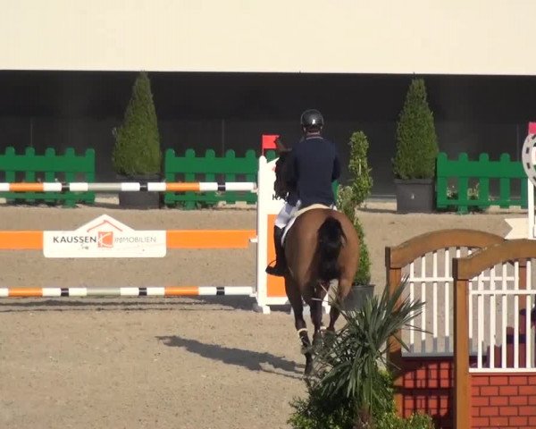 FEI Reitturnier Aachen (GER) 2016