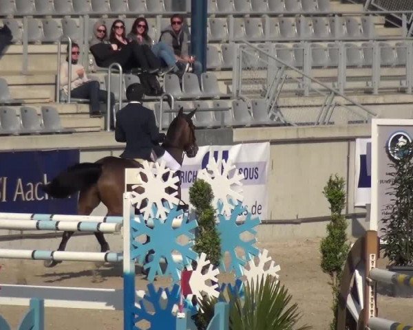 FEI Reitturnier Aachen (GER) 2016