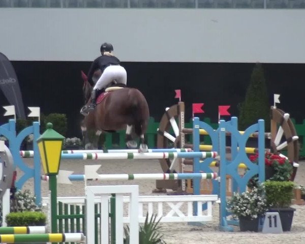 FEI Reitturnier Aachen (GER) 2016