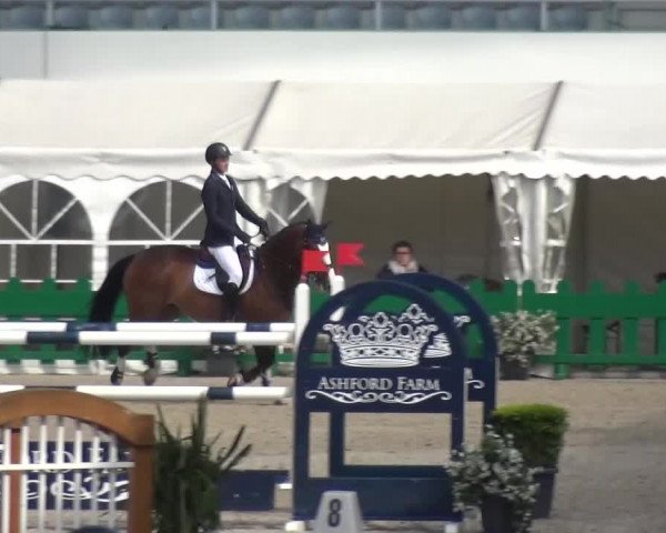 FEI Reitturnier Aachen (GER) 2016