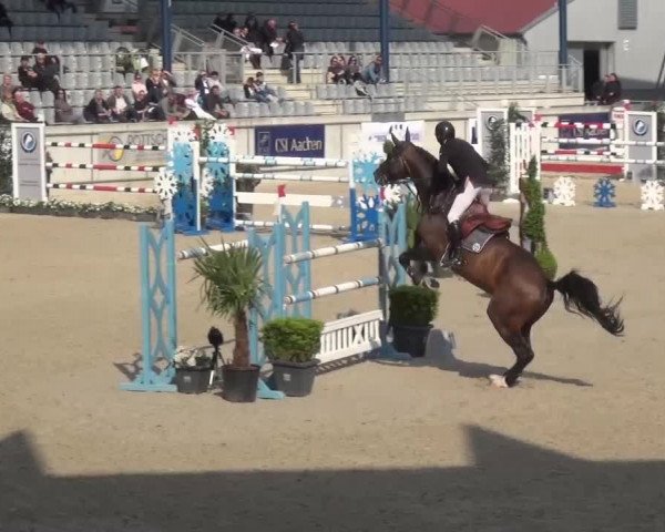 FEI Reitturnier Aachen (GER) 2016