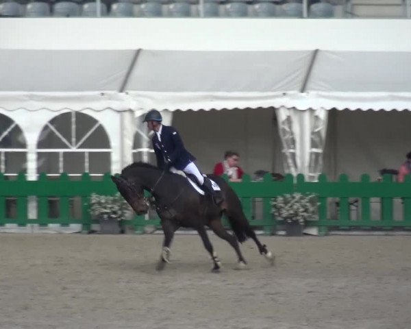 FEI Reitturnier Aachen (GER) 2016