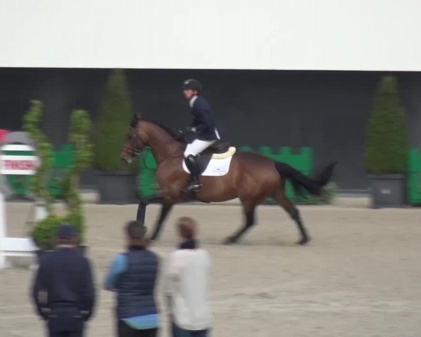 FEI Reitturnier Aachen (GER) 2016
