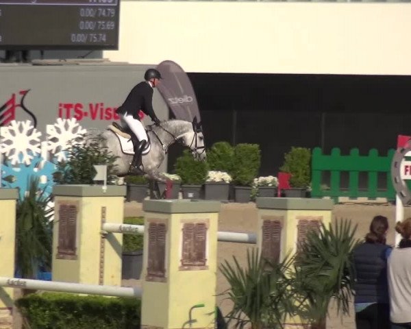 FEI Reitturnier Aachen (GER) 2016
