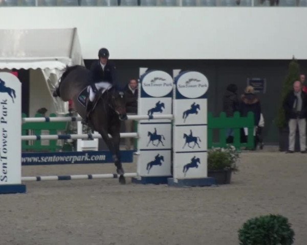 FEI Reitturnier Aachen (GER) 2016