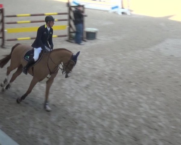 FEI Reitturnier Aachen (GER) 2016